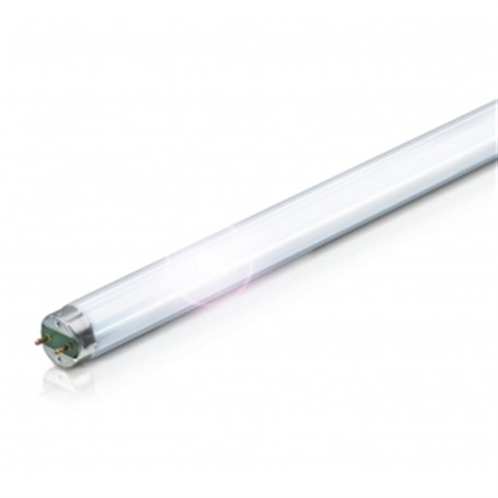 36W Snow White Floresan Ampul T8 Philips