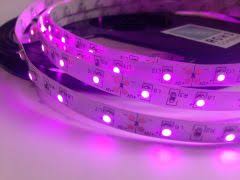 ŞERİT LED 3 ÇİPLİ DIS MEKAN PEMBE